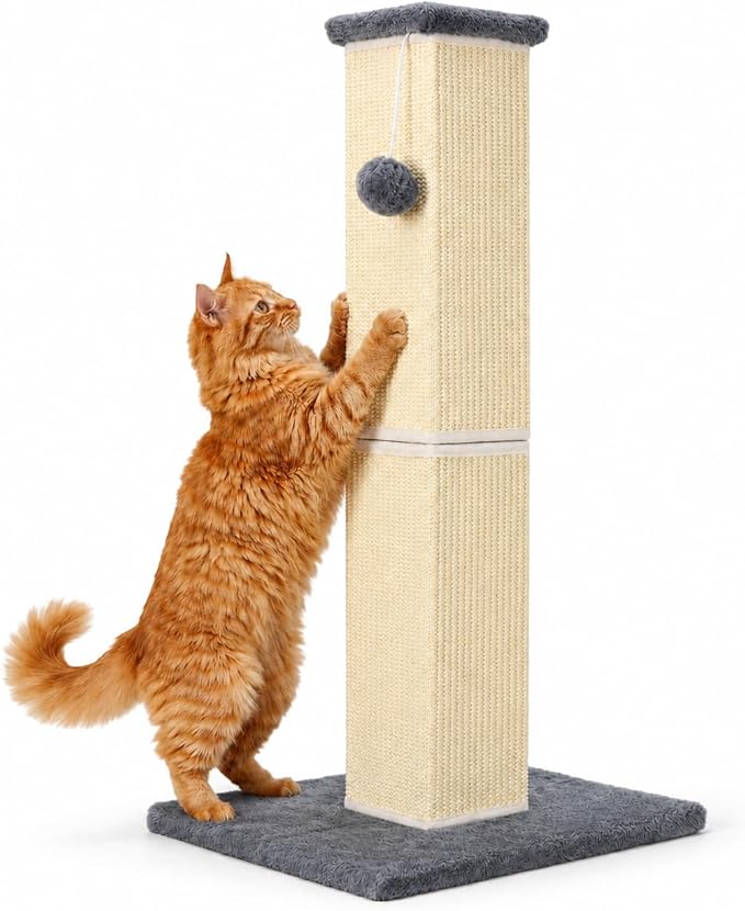 Cat Scratching Post for Large Indoor Cats & Kittens, Cat Scratcher by YULOYI