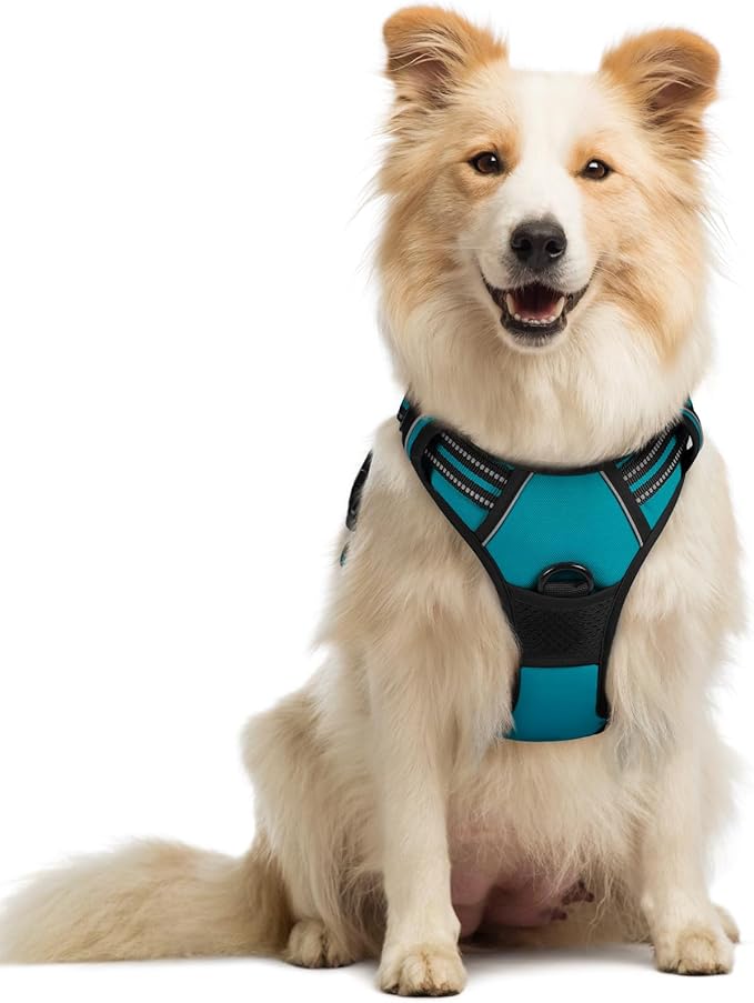 rabbitgoo Dog Harness No Pull by rabbitgoo
