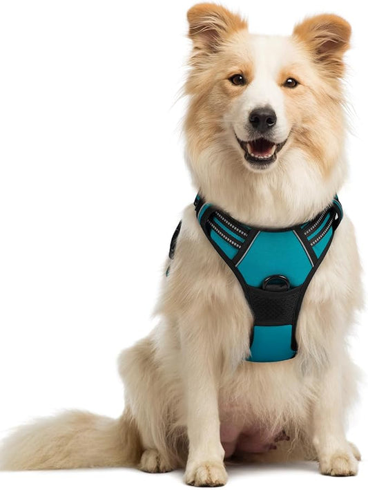 rabbitgoo Dog Harness No Pull by rabbitgoo
