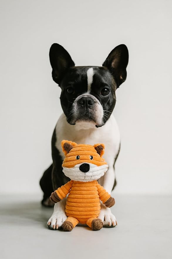 Jalousie Plush Toys Assortment Value Bundle Puppy Pet Mutt Squeak Toy - Image 8