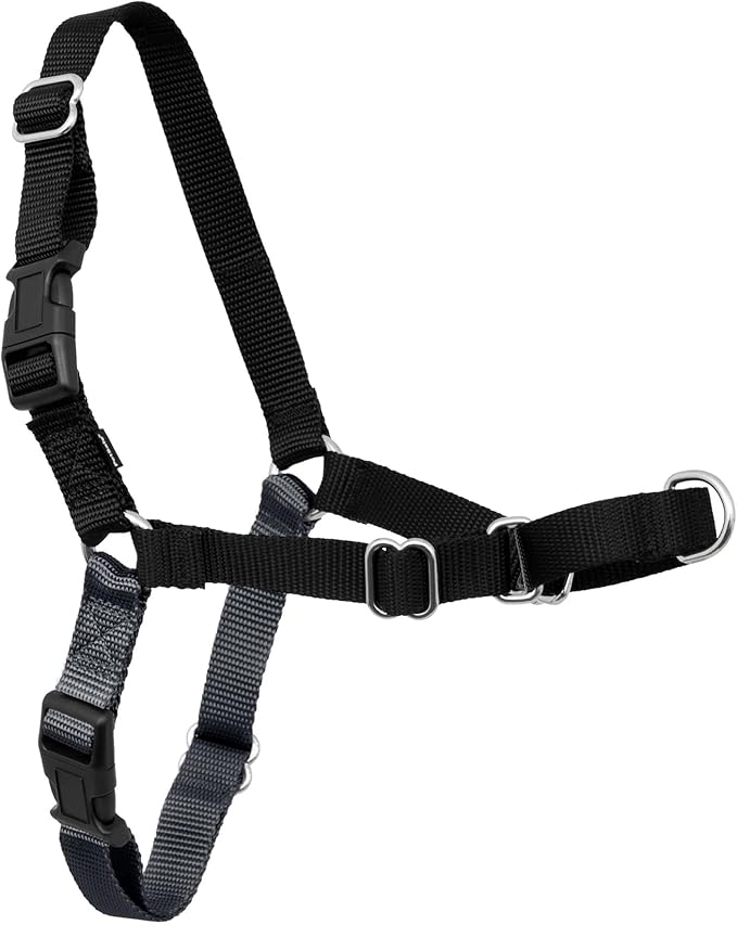 PetSafe Easy Walk No-Pull Dog Harness by PetSafe