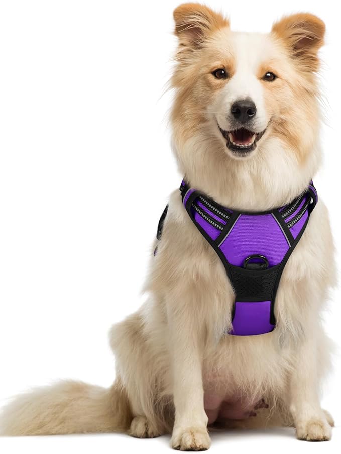 rabbitgoo Dog Harness No Pull by rabbitgoo