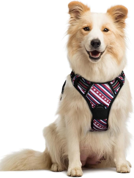 rabbitgoo Dog Harness No Pull by rabbitgoo