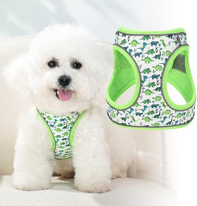 Step in Dog Harness and Leash Set, Flower Adjustable Easy Walk Puppy Harnesses - Image 3