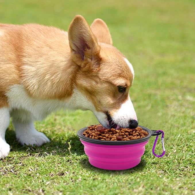 Dog Bowl Pet Collapsible Bowls, 2 Pack Collapsible Dog Water Bowls - Image 4
