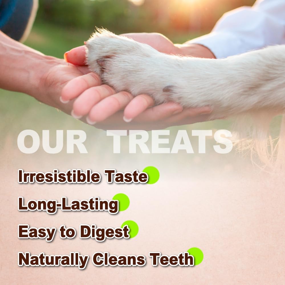 Afreschi Natural Turkey Tendon Rope (L) 3.53 oz, USA-Sourced Turkey Tendon, All Natural Human Grade Dog Chew, Hypoallergenic, Rawhide Alternative, Dog Treats for Large Breeds