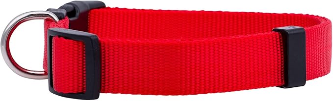 Native Pup Basic Nylon Dog Collar, Adjustable - Image 2