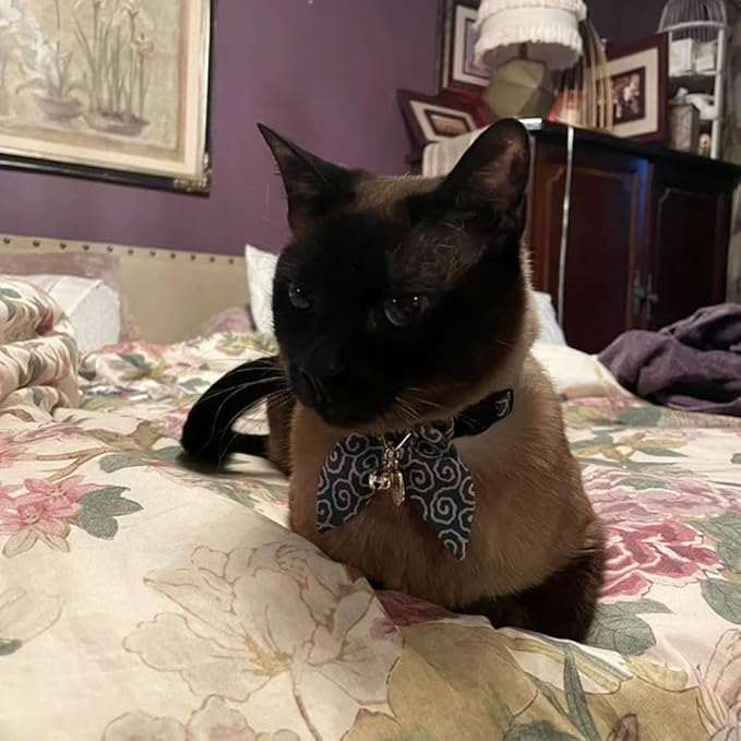 Bunny Ears Cat Collar, Japan Lucky ‘開三運’ Charm. Safety Breakaway Bowtie Kitten - Image 5