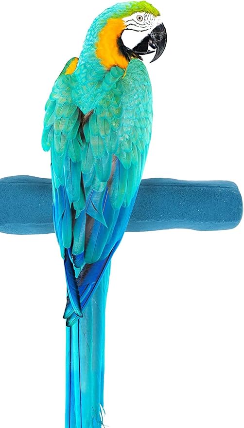 Sweet Feet and Beak Comfort Grip Safety Perch by SweetFeetBeak