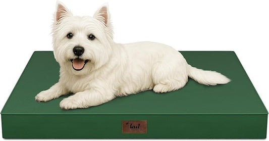 Outdoor Dog Bed for Small Dogs & Cats, Waterproof Dog Crate Mat Orthopedic Egg by TailStories