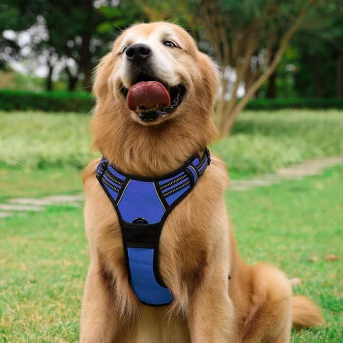 rabbitgoo Dog Harness No Pull - Image 8