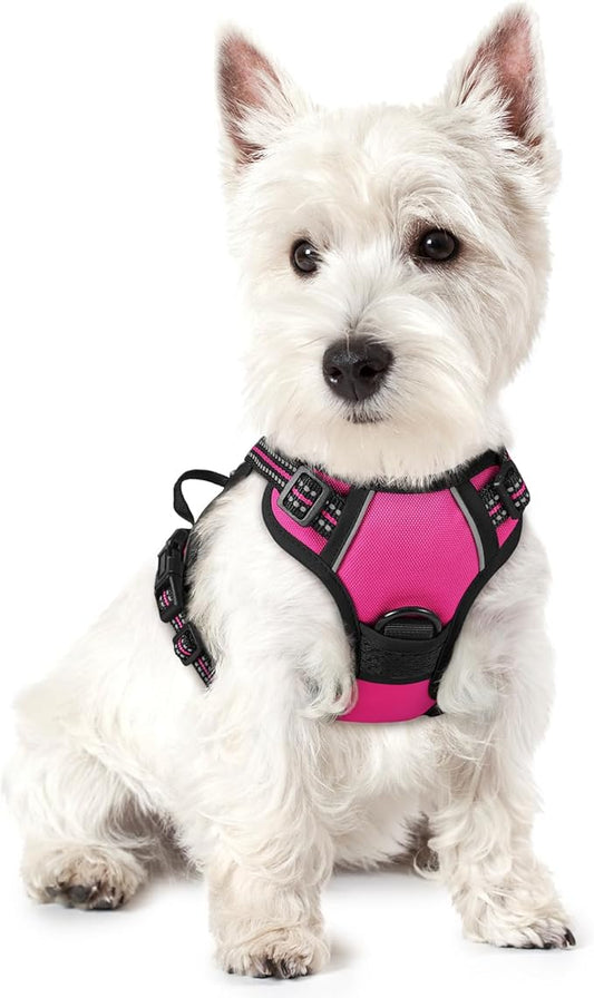 rabbitgoo Dog Harness No Pull by rabbitgoo