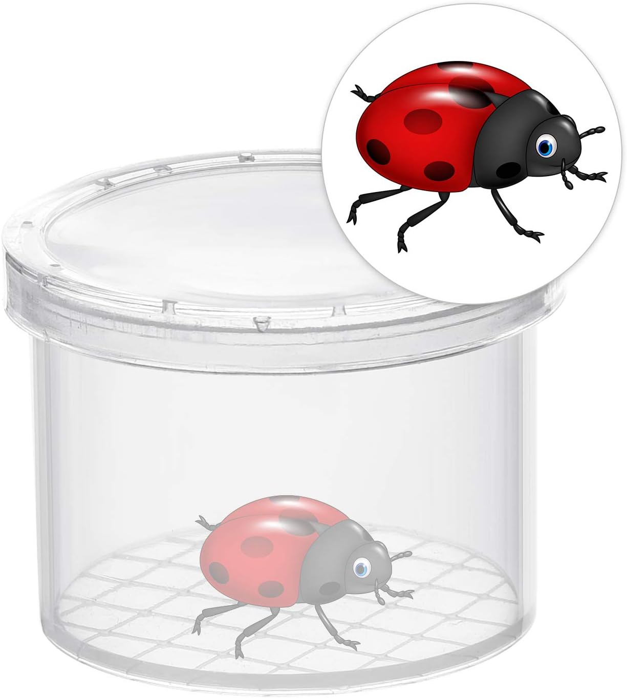 Coopay 20 Pieces Bug Viewer Critter Insect Cage Magnifying Insect Box Bug Magnifier Container Catcher Cage, Science Nature Exploration Tools