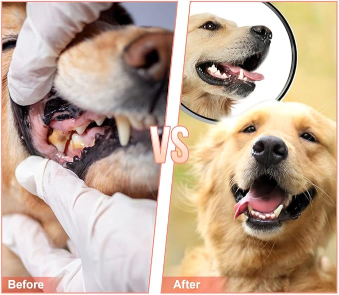 Dog Chew Toys, Tough Dog Toys for Aggressive Chewers, Durable Rubber Puppy Toy - Image 5