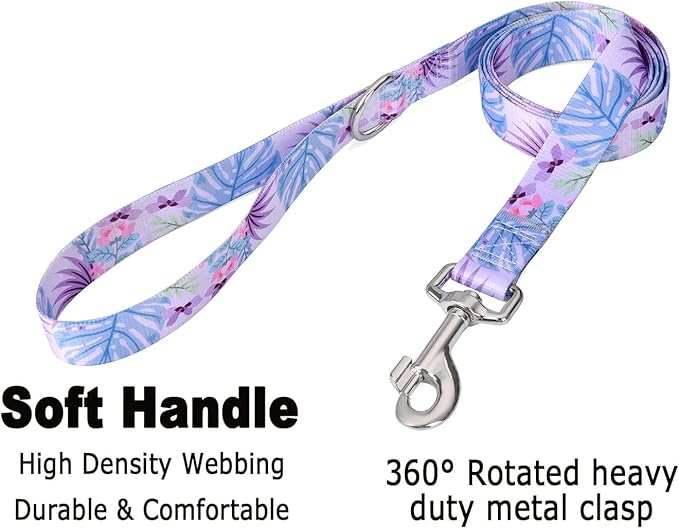 Mihqy Dog Collar and Leash Set - Image 4