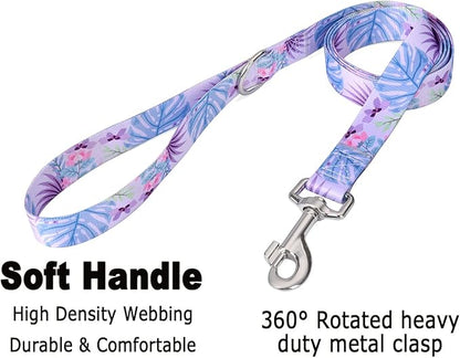 Mihqy Dog Collar and Leash Set - Image 4