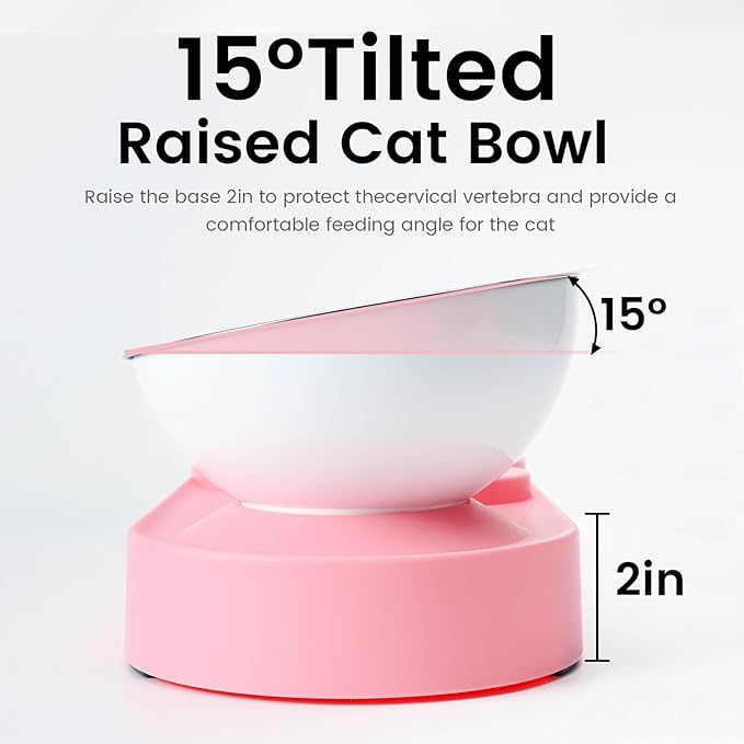 Double Elevated Dog Cat Food Water Bowls, Stainless Steel Cat Food Water Bowl - Image 4