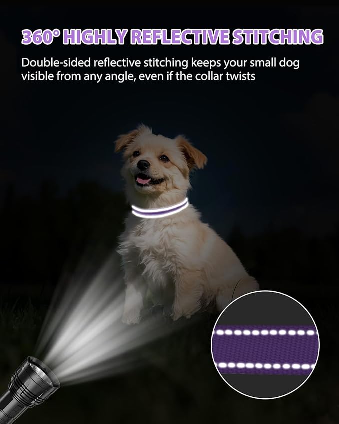 Joytale Small Dog Collar, Durable Double-Sided Reflective Nylon Collar - Image 5