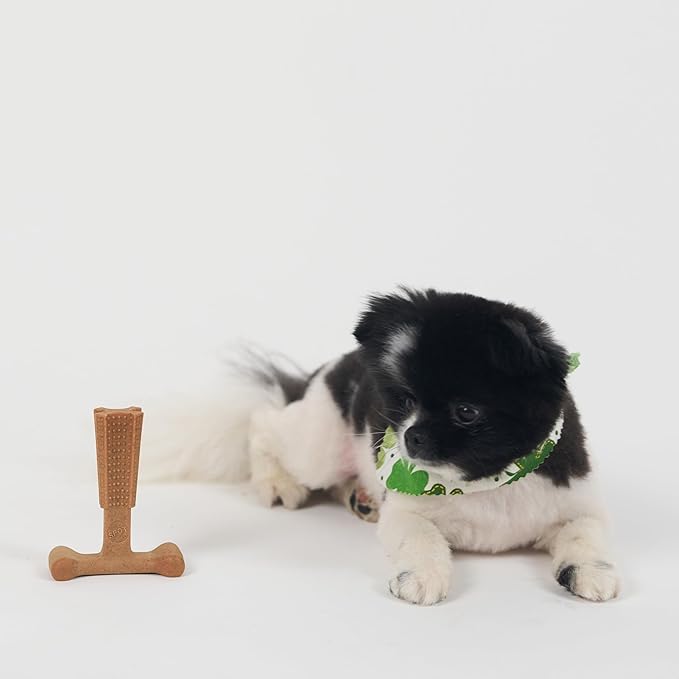 SPOT Bam-Bones Plus T-Bone, Bamboo Fiber & Nylon Dog Chew, Durable - Image 12
