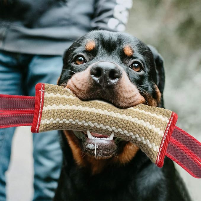 Storystore Dog Tug Toy Dog Training Bite Pillow Jute Bite Toy - Image 7