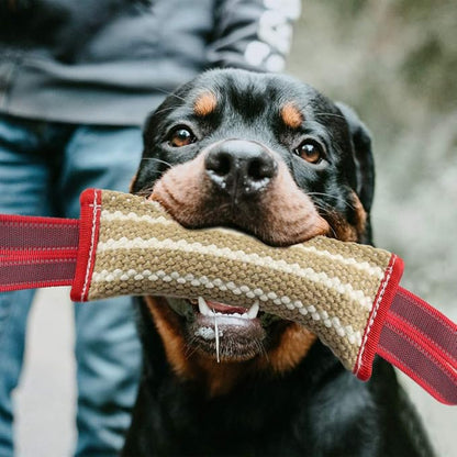 Storystore Dog Tug Toy Dog Training Bite Pillow Jute Bite Toy - Image 7
