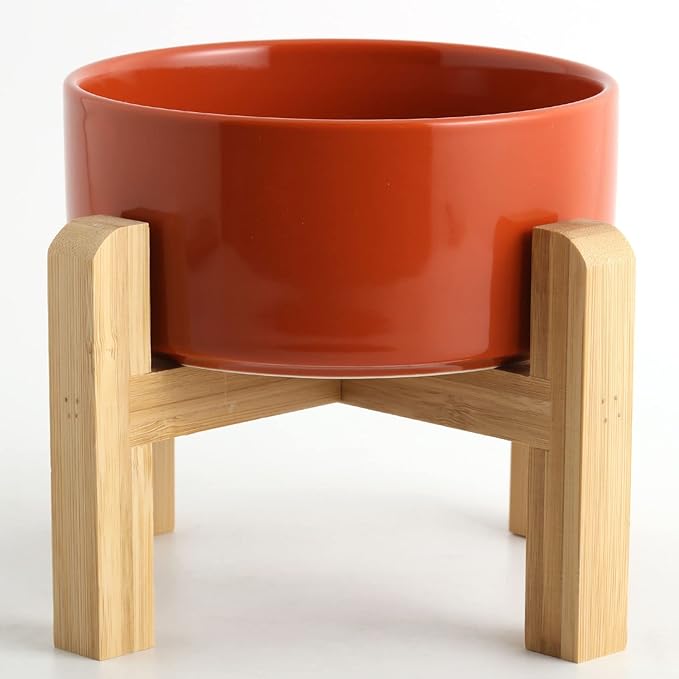 Petygooing Rust Red Elevated/Raised Ceramic Dog Bowl by PetygooingforYOURLOVEDPET