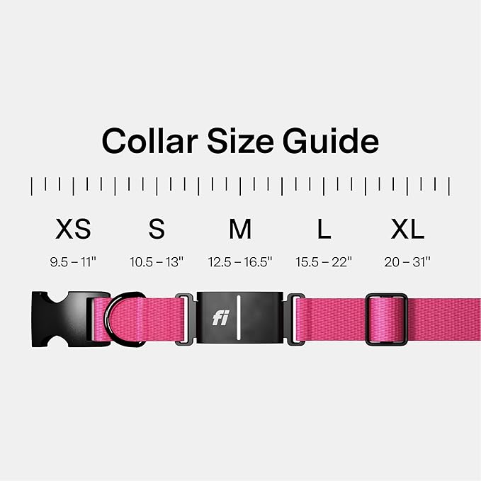 Fi New Series 3+ Smart Dog Tracker Collar GPS Tracker - Image 5