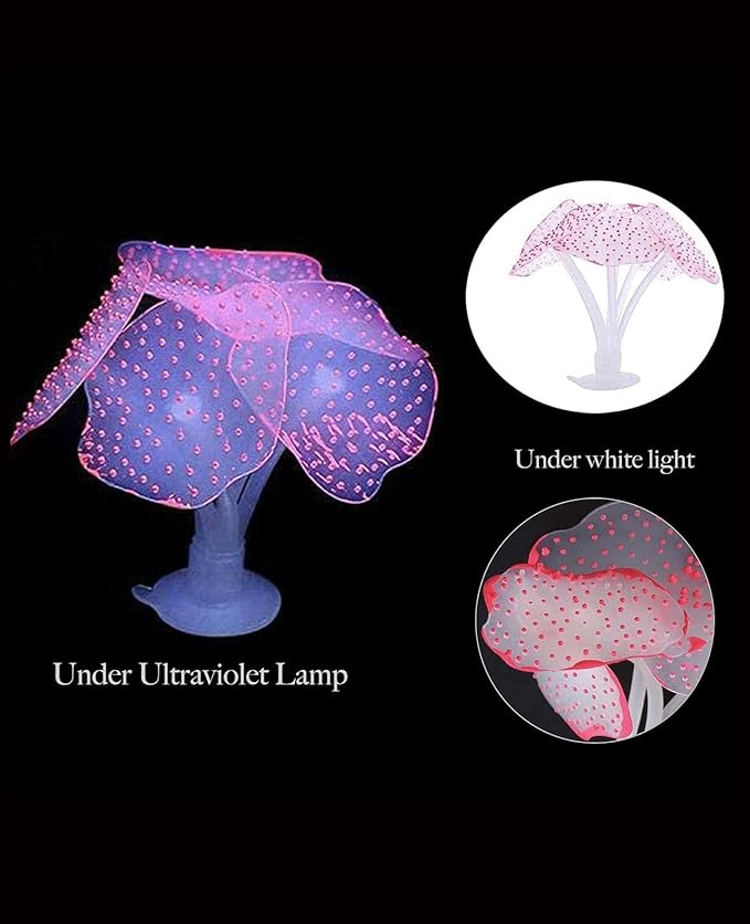ZtohPyo 4 Pieces Aquarium Fish Tank Decorations - Image 8