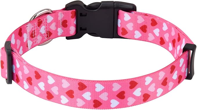 Mihqy Dog Collar - Image 2