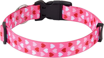 Mihqy Dog Collar - Image 2