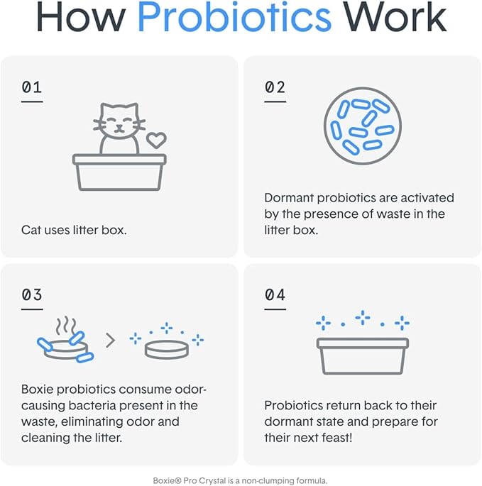 Boxie® Probiotic 40 Day Natural Odor Control Cat Litter, 16lb Clumping Clay - Image 9
