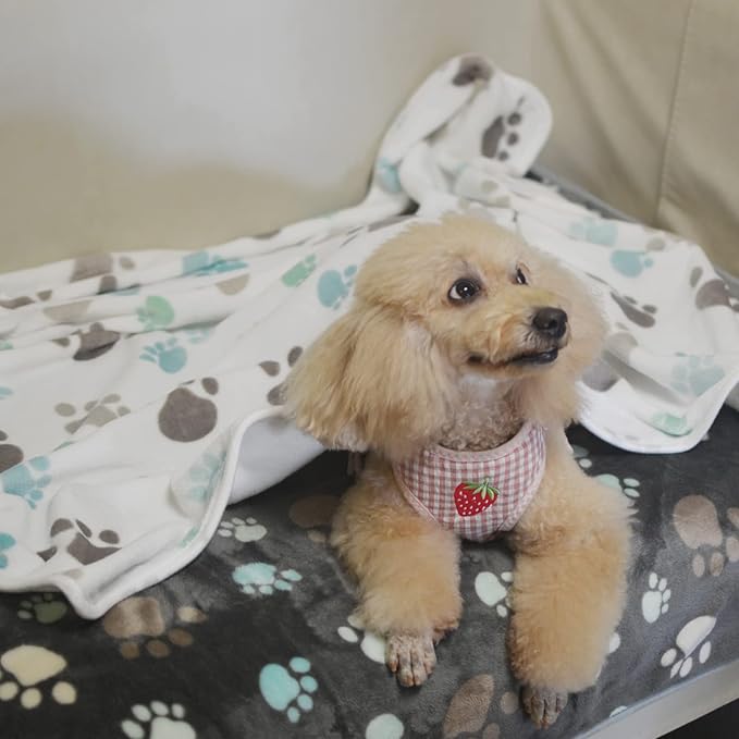 1 Pack 3 Puppy Blankets Super Soft Warm Sleep Mat Cute PAW Print Blanket Fleece - Image 6