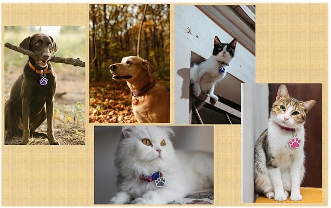 Pet ID Tag, Glitter Paw Bling, Cat ID Tag, Dog ID Tag, Custom Engraved - Image 3