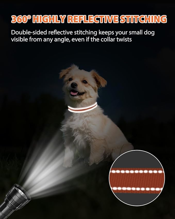 Joytale Small Dog Collar, Durable Double-Sided Reflective Nylon Collar - Image 5