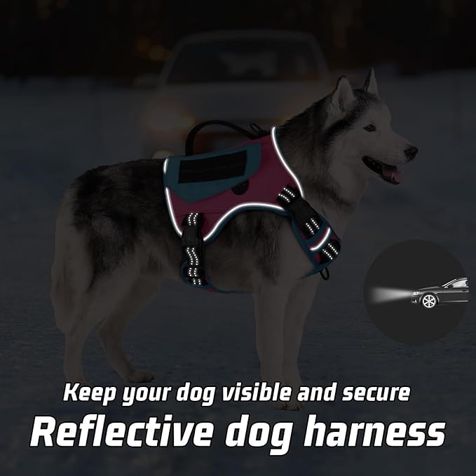 WINGOIN Tactical Dog Harness for Small Dogs, No Pull Harness - Image 3