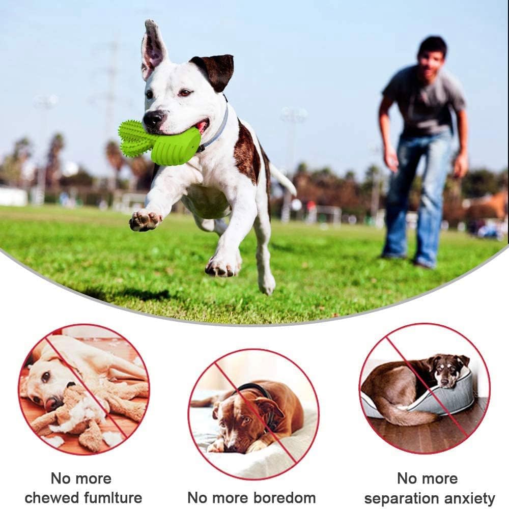 Dog Chew Toys, Toothbrush Stick Teeth Cleaning Brush Dental for Small Medium Large Dog, Rubber Squeaky Toys for Aggressive Chewers Cactus Tough Toys
