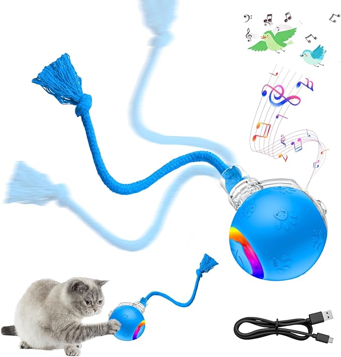 2-in-1 Automatic Moving Ball Cat Toy by Unknown