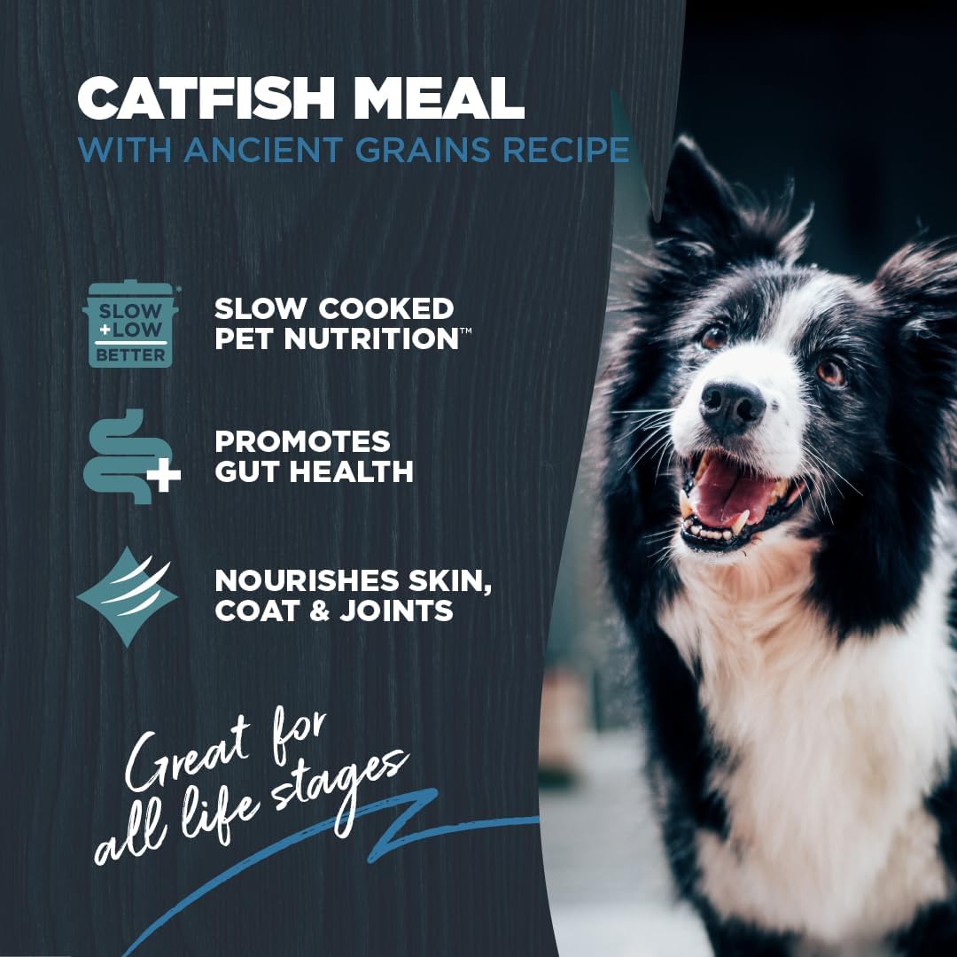 Blackwood Sensitive Skin & Stomach Dry Dog Food, Catfish Meal & Brown Rice with Ancient Grains, 24 Pound Bag with Prebiotics & Probiotics to Promote Gut Health