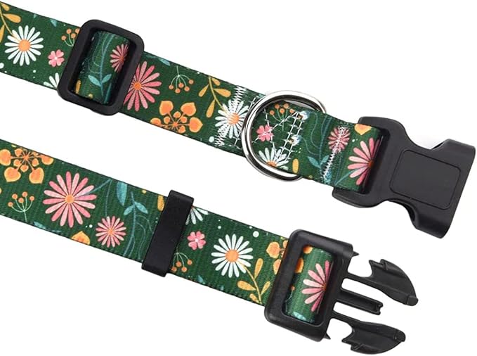 Mihqy Dog Collar and Leash Set - Image 2