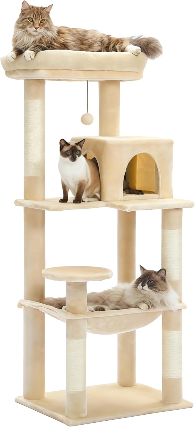 MUTTROS Cat Tree for Large Cats Adult by MUTTROS