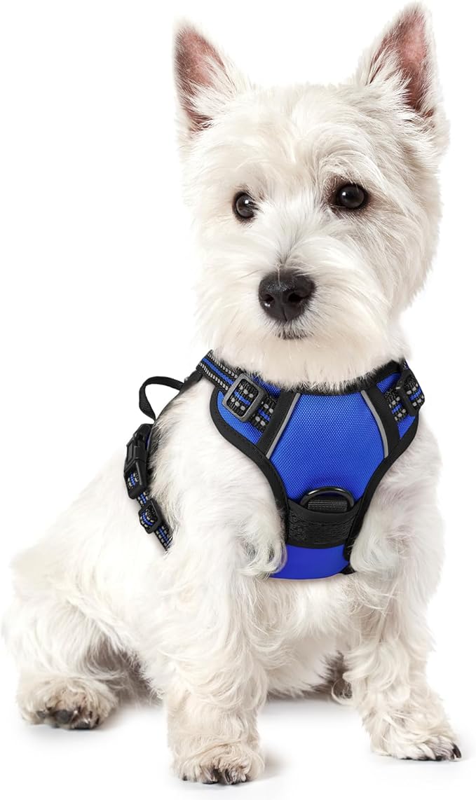 rabbitgoo Dog Harness No Pull by rabbitgoo