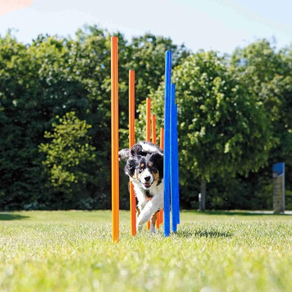 Dog Agility Training Equipment Set, Puppy Jump Training Obstacle Course Starter - Image 2