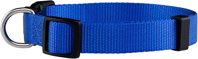 Native Pup Basic Nylon Dog Collar, Adjustable - Image 2