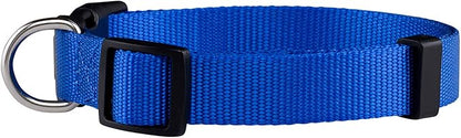 Native Pup Basic Nylon Dog Collar, Adjustable - Image 2