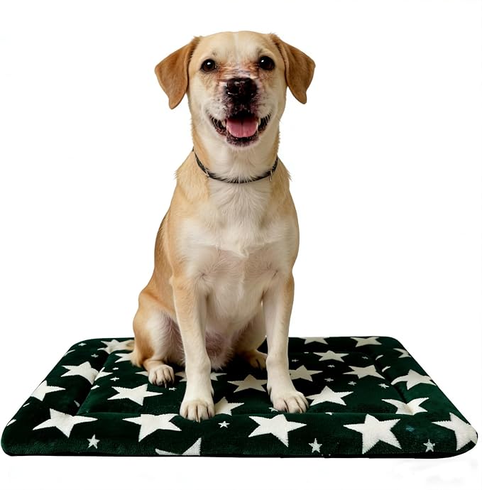 Dog Bed Mat, Reversible Crate Pad & Durable Dog Bed by FogkissComfyPawsHome