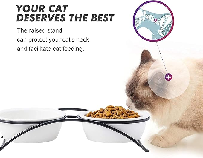 Cat & Dog Bowls - Image 3