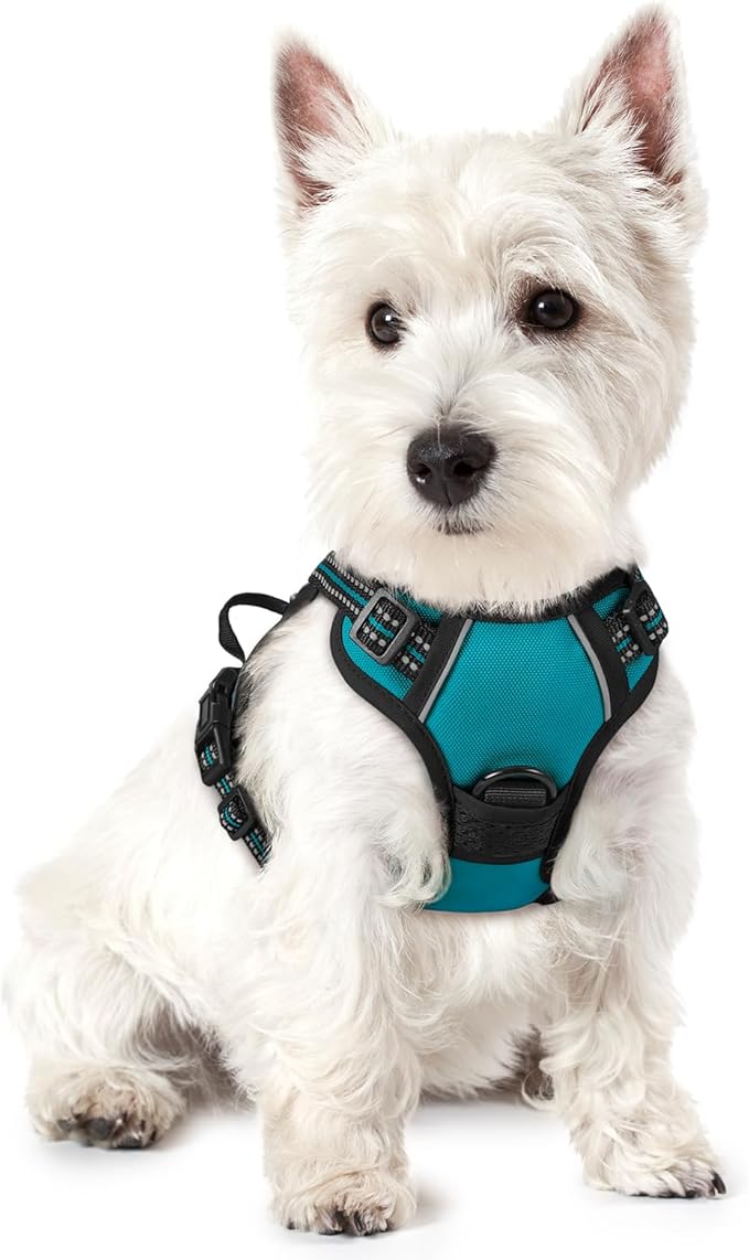 rabbitgoo Dog Harness No Pull by rabbitgoo