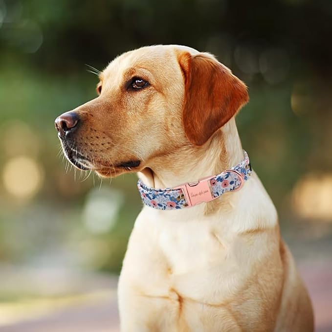 Unique style paws Dog Collar Metal Buckle Red Rose Puppy Collar Flower Gift - Image 3