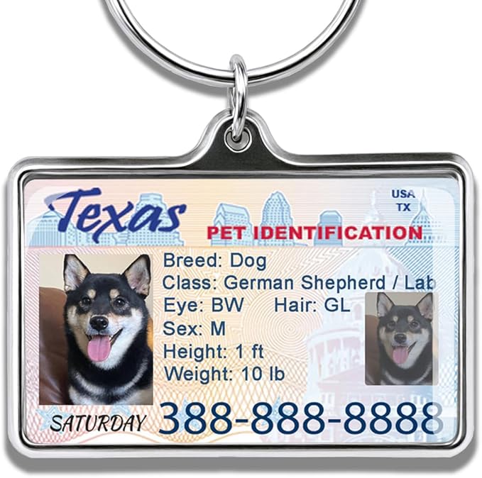 Custom Dog Driver License Tag for Pets by safestylishwithlove