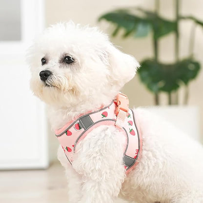 Step in Dog Harness and Leash Set, Flower Adjustable Easy Walk Puppy Harnesses - Image 6